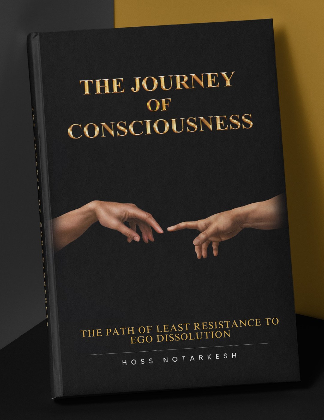 The Journey of Consciousness by Hoss Notarkesh